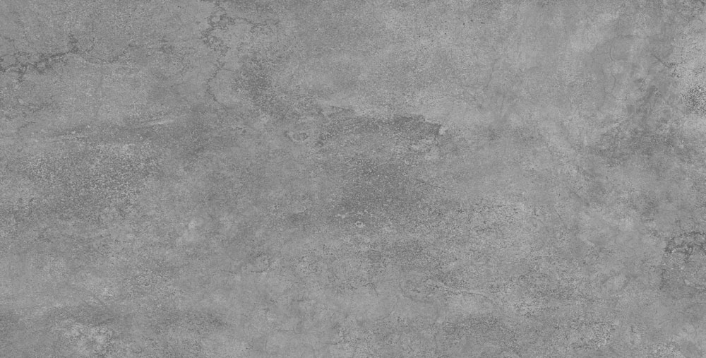 طوسی تیره/ Face2